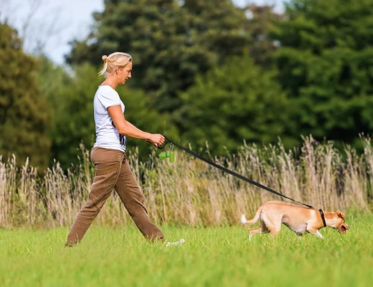 Hundeleine für mittelgroße und große Hunde, doppelseitig