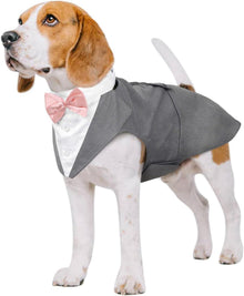 Hunde Smoking Anzug Set Bandana Fliege Hochzeit Party S-XL