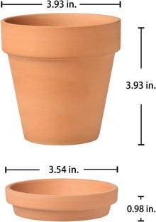 6 Stück Kleine Terrakotta Pflanztöpfe 10x10 cm mit