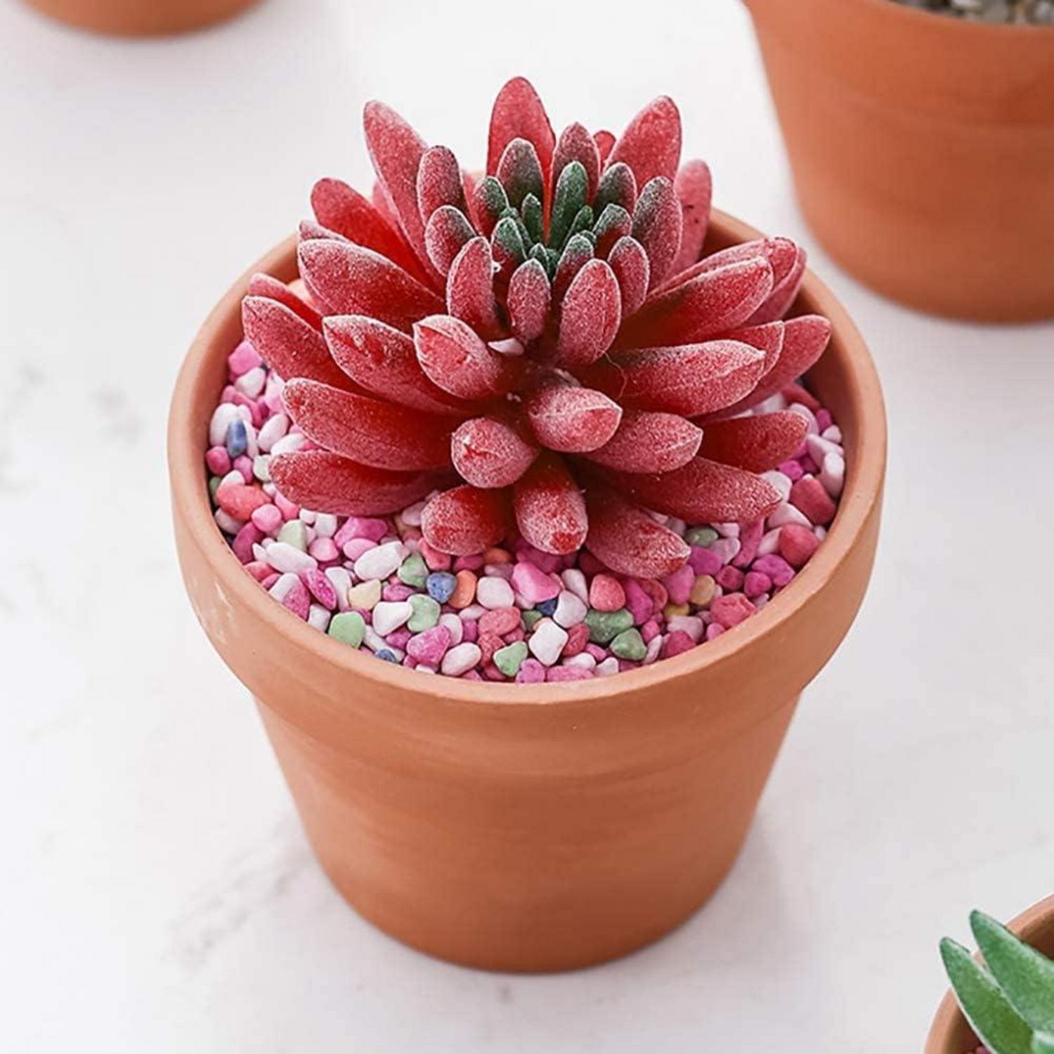 6er Set Terrakotta Blumentöpfe 13,1x13,1 cm mit