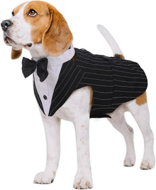 Hunde Smoking Anzug mit Fliege für Hochzeit und Geburtstag, S-XXL