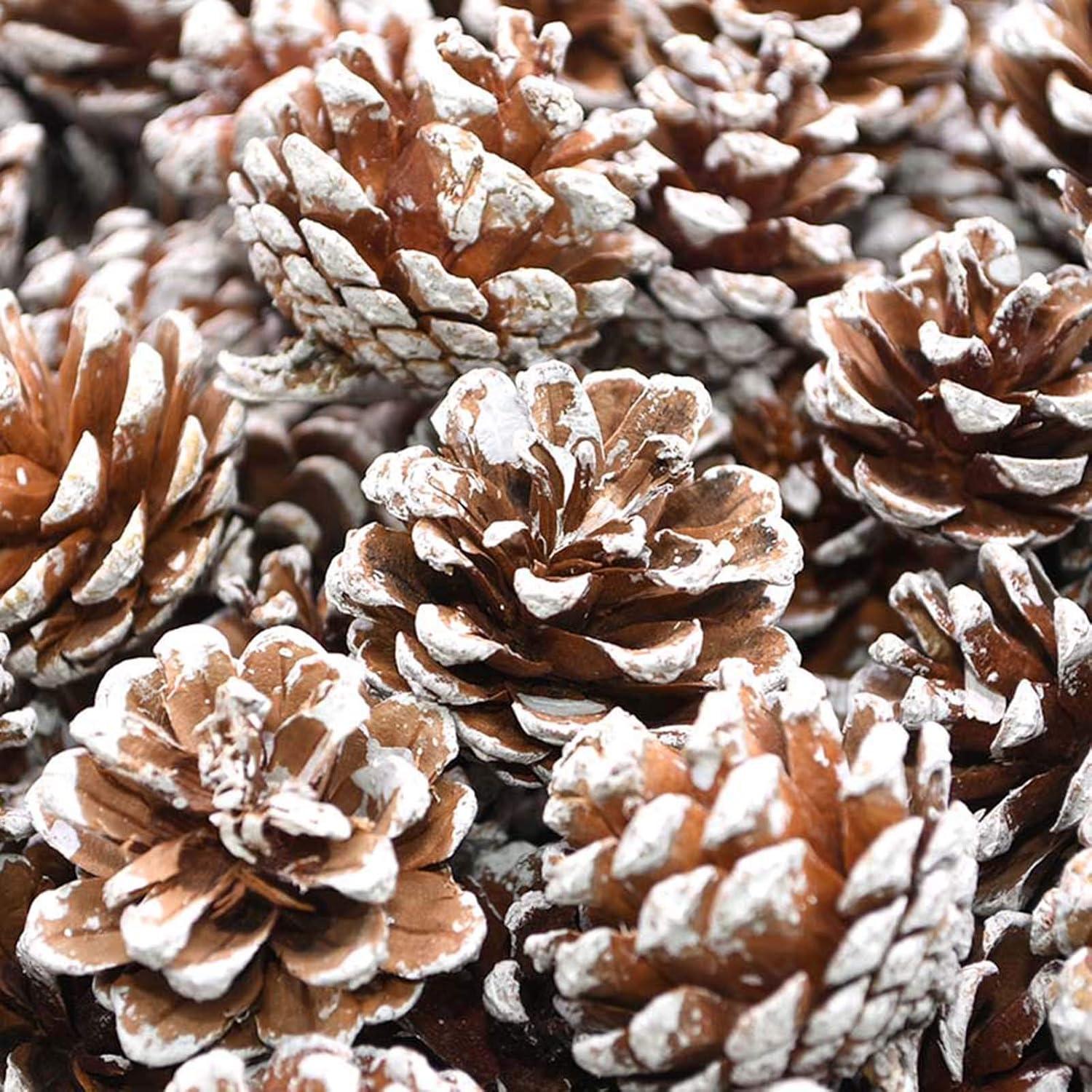 48er Set Natürliche Weihnachts Tannenzapfen Deko - Goldene Anhänger für Baum & Kränze