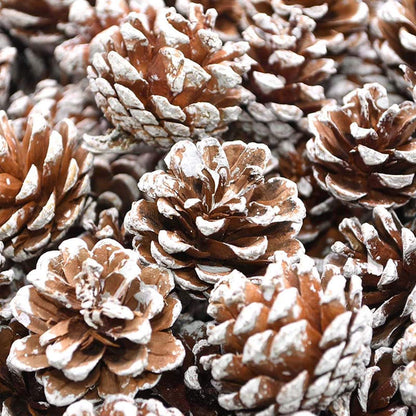 48er Set Natürliche Weihnachts Tannenzapfen Deko - Goldene Anhänger für Baum & Kränze