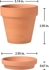 12er Mini Terrakotta Töpfe mit Untersetzer 7.9x7.4cm
