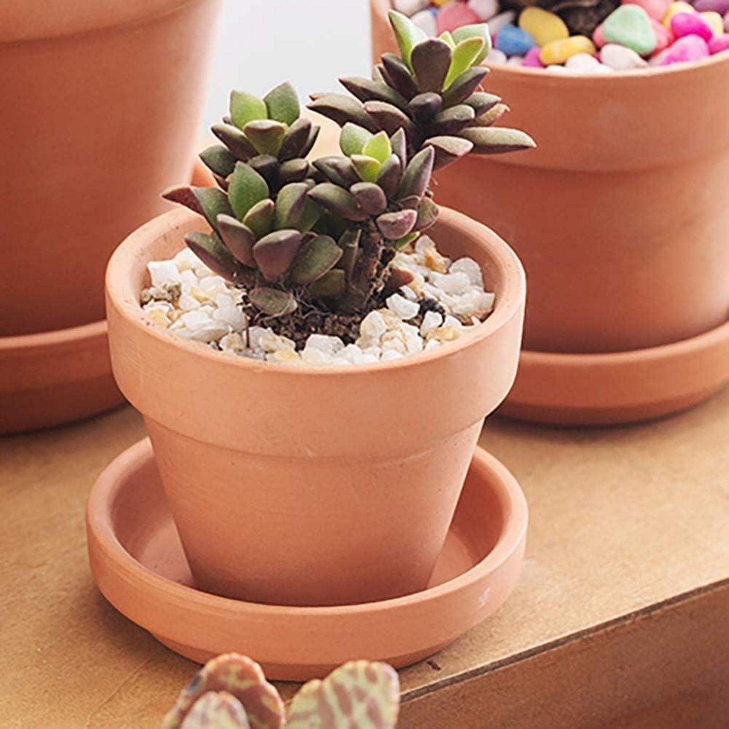 12er Set Mini Terrakotta Töpfe 7.9x7.4 cm mit Untersetzer - Sukkulenten Töpfe