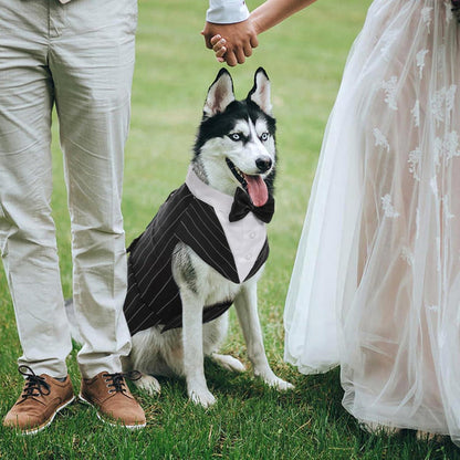Kuoser Hund Smoking Anzug & Bandana Set, Hochwertiges