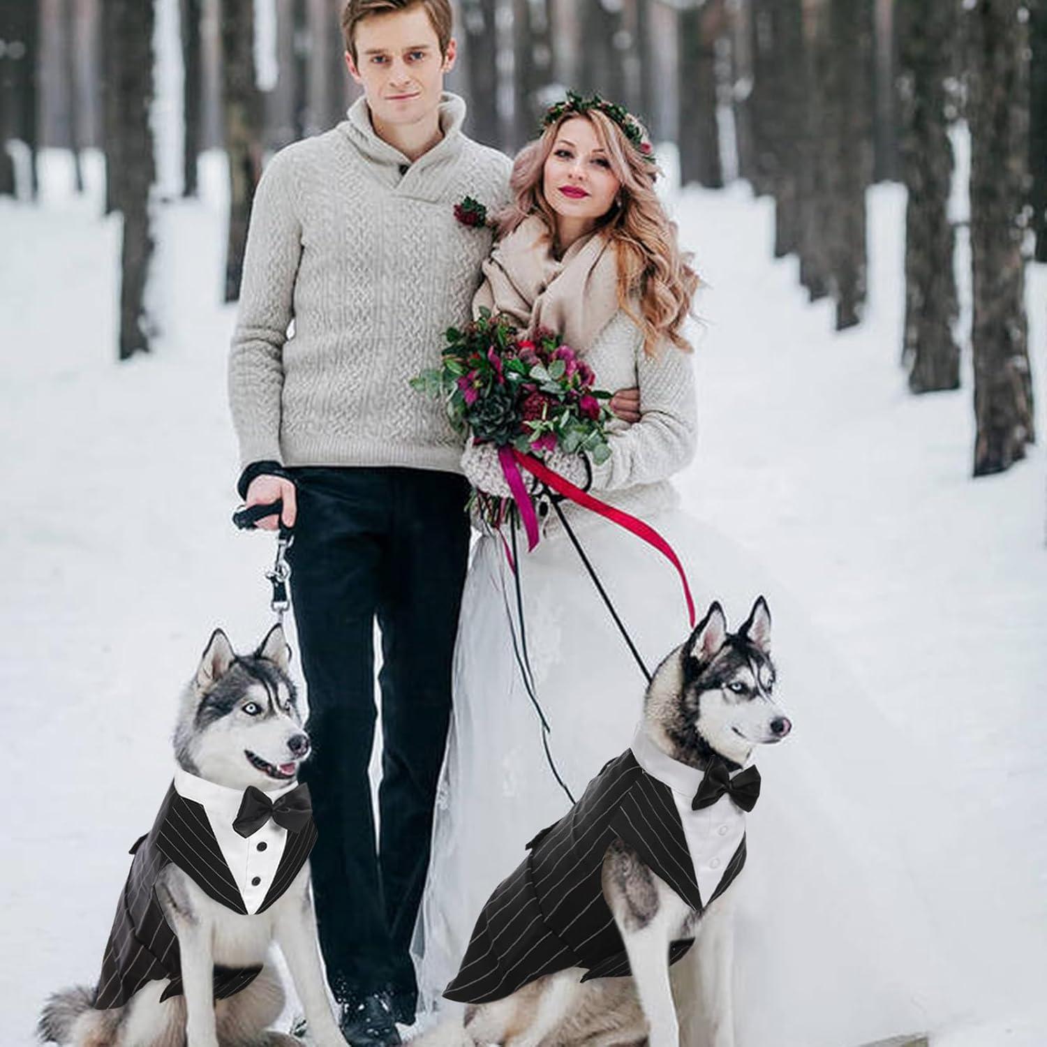 Hund Smoking Anzug Bandana Set