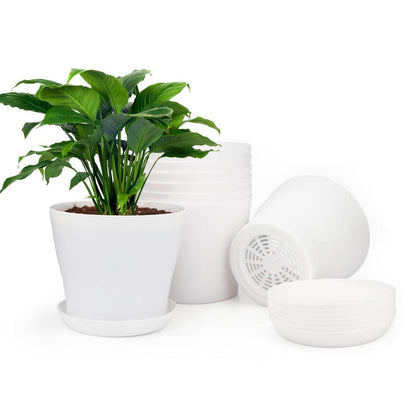 8 Pflanztöpfe 10cm mit Untersetzer – Weiß für Kakteen & Sukkulenten