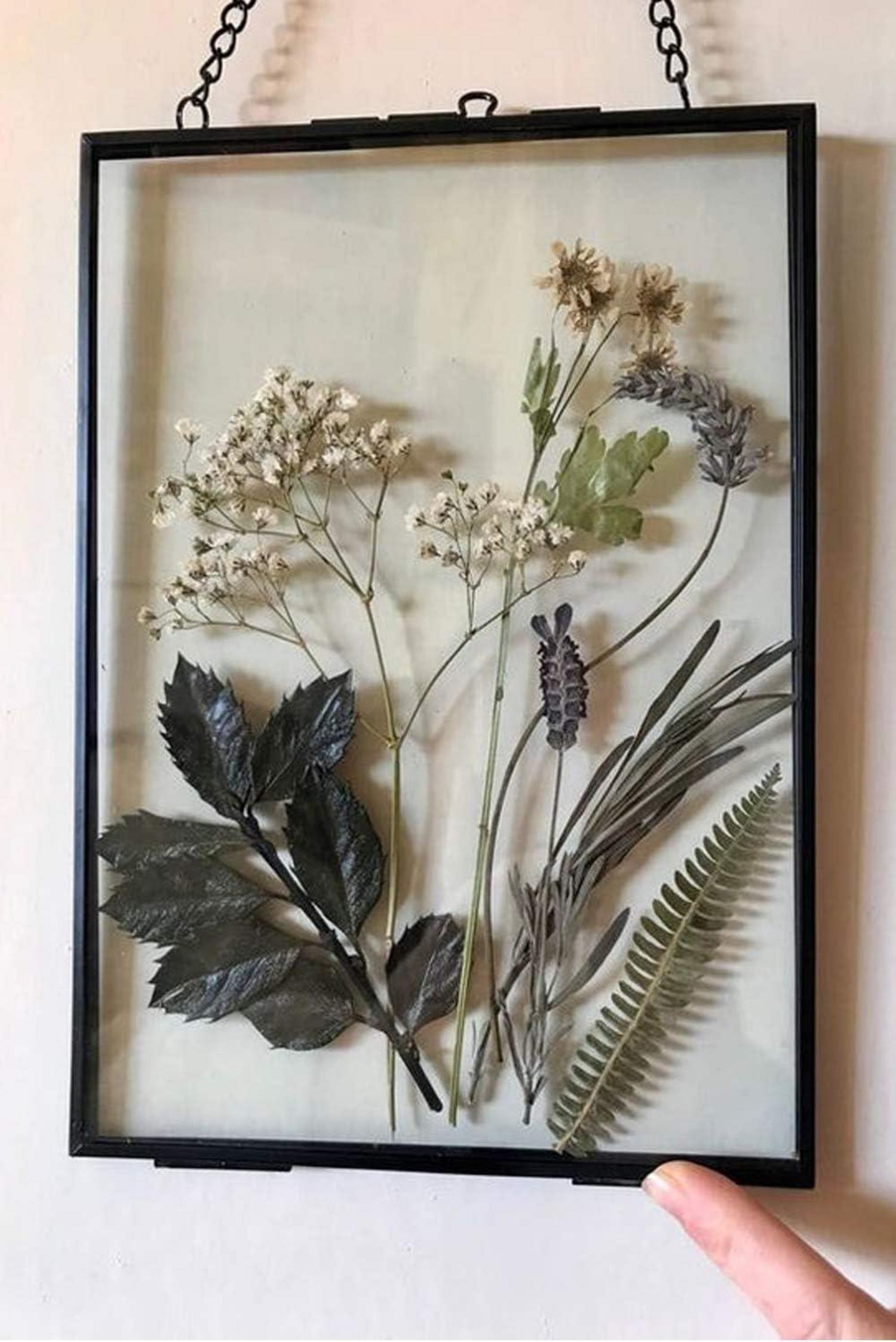 DÉCOCO 25x20cm Black Floating Glass Photo Frame Wall Geometric Plant Specimen Display
