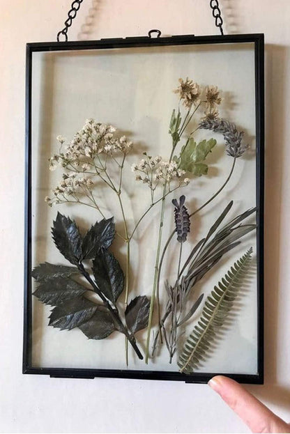 DÉCOCO 25x20cm Black Floating Glass Photo Frame Wall Geometric Plant Specimen Display