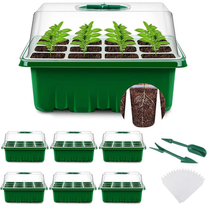 6 Stück Mini Gewächshaus Zimmergewächshaus Anzuchtkasten