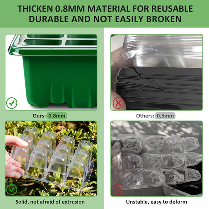 6 Stück Mini Gewächshaus Zimmergewächshaus Anzuchtkasten