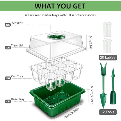 6 Stück Mini Gewächshaus Zimmergewächshaus Anzuchtkasten