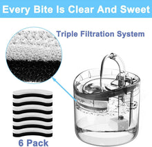 HAPUP Katzenbrunnen Filter Ersatzfilter Aktivkohle 6er Pack