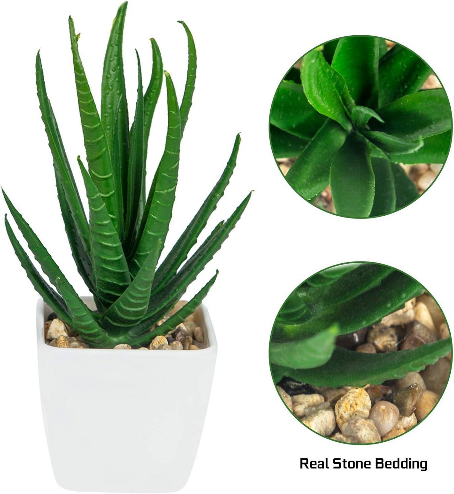 Kunstpflanzen Sukkulenten Set 6 Stück Topf Deko Haus Balkon