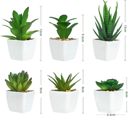 Künstliche Sukkulenten Topfpflanzen Set 6 Stück Grün im Topf
