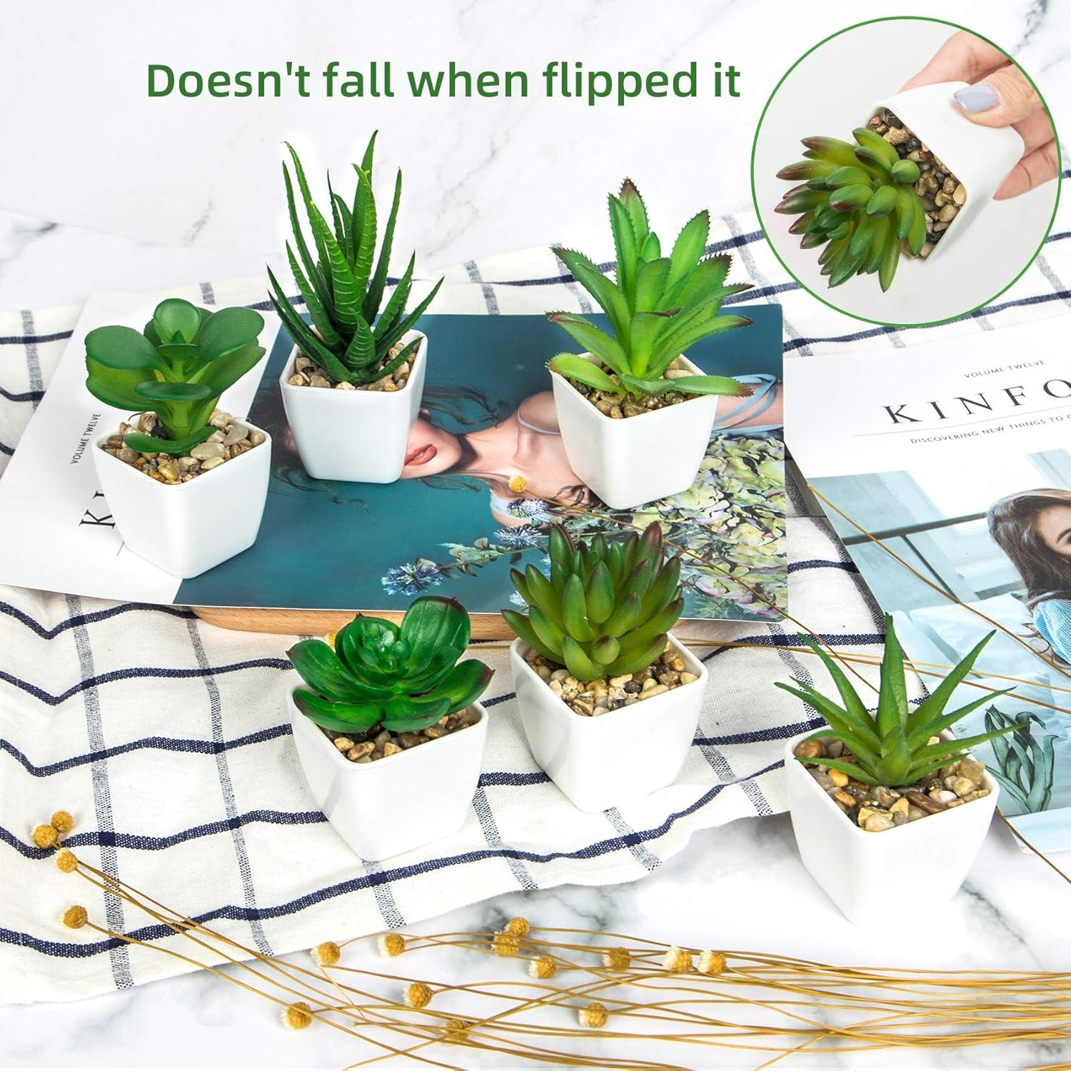 Künstliche Sukkulenten Topfpflanzen 6 Stück Grün Deko MEHRWEG