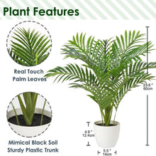 Kunstpflanze Palme 60 cm Kunstpflanze Aesthetic Wohnzimmer