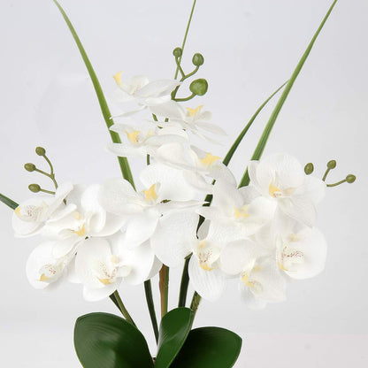 Künstliche Orchidee Kunstblume Phalaenopsis Weiß Deko Höhe 49cm im Keramiktopf