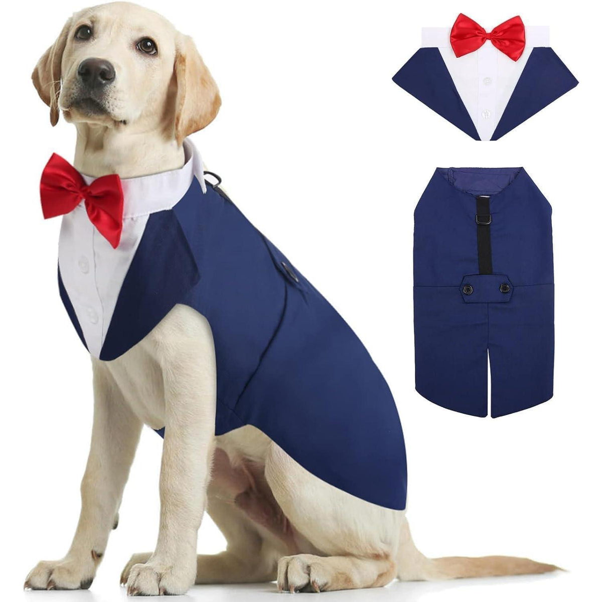 Hund Smoking Anzug mit Bandana & Fliege, Blau, S-XXL