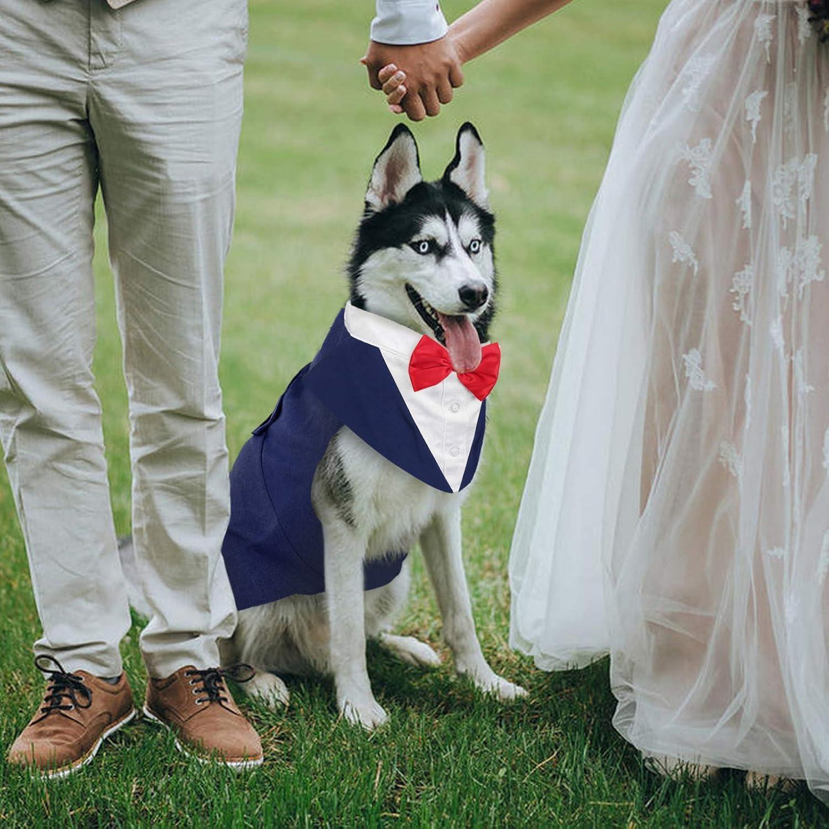 Hund Smoking Anzug mit Bandana & Fliege, Blau, S-XXL