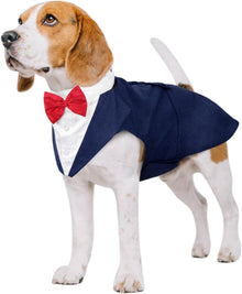 Hunde Smoking Anzug Bandana Set Hund Kostüm Shirt Blau