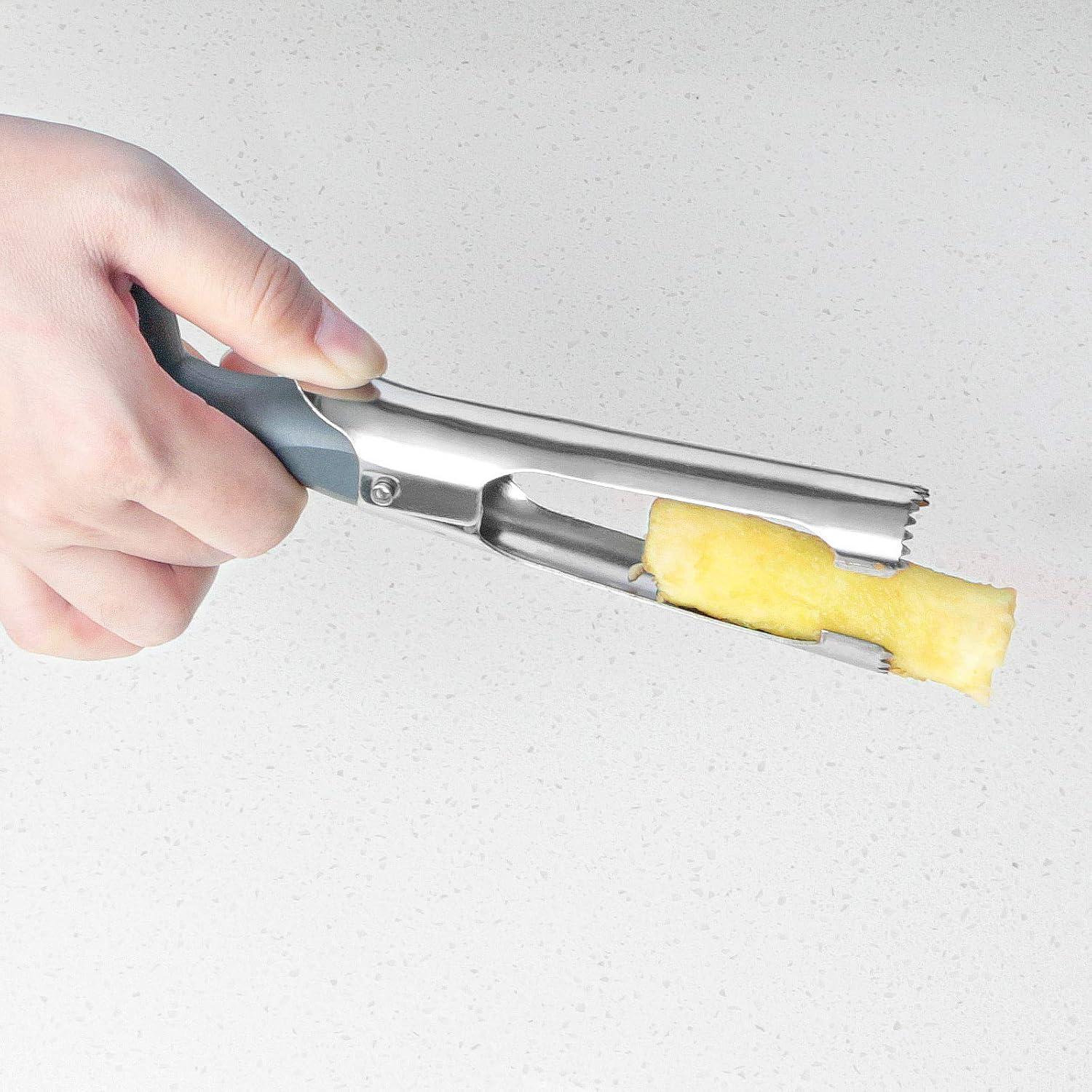 Asdirne Apfelentkerner Edelstahl ABS Griff Lebensmittelqualität Grau