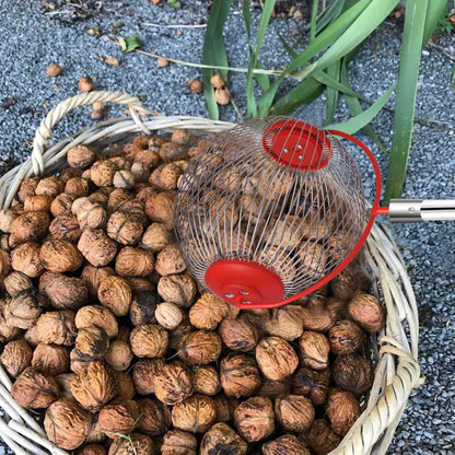 LEJIEYIN Nusssammler Walnuss Rollsammler Harvester Greifer für Golfbälle
