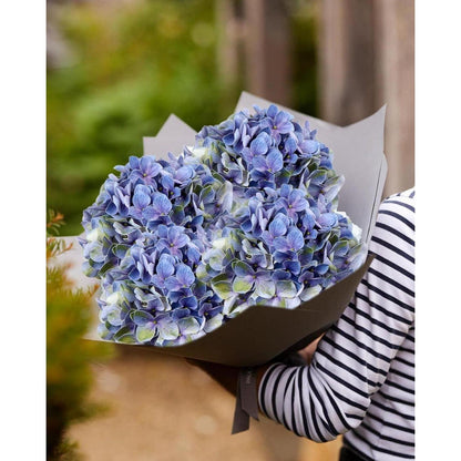 Künstliche Hortensie Real-Touch Blumen Hydrangea Kunstblumen