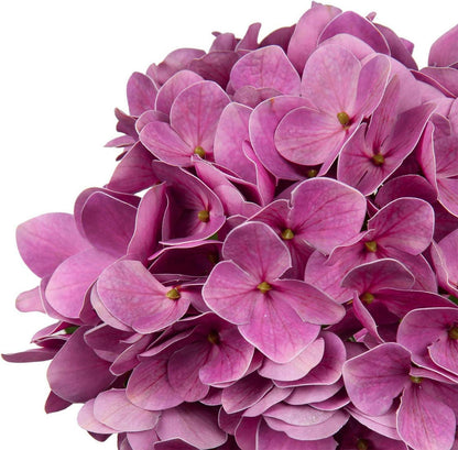 Künstliche Hortensie Blumen Real-Touch Hydrangea Kunstblumen 63 cm 2
