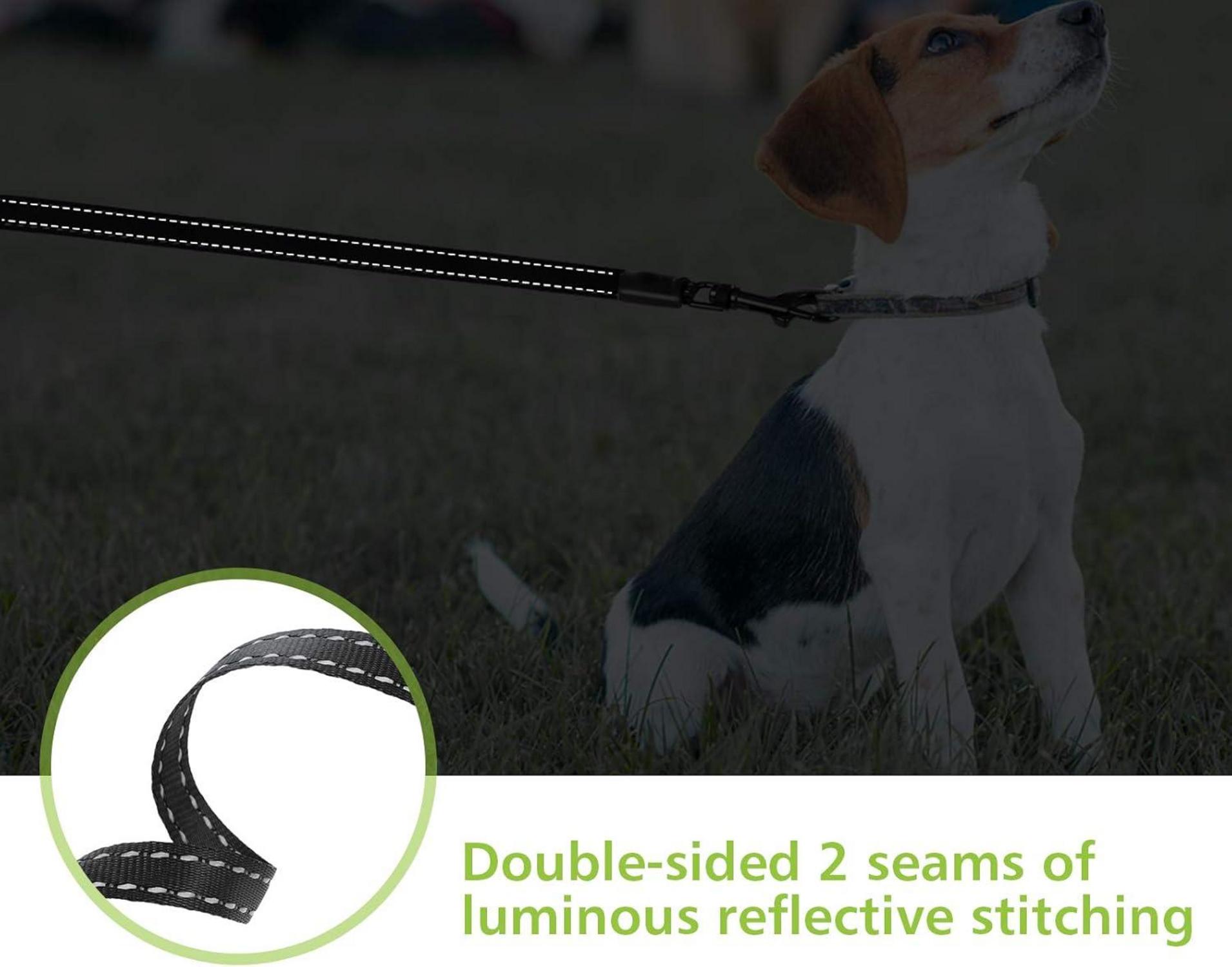 Pecute Hundeleine 5m für Kleine Hunde, Reflektierende Leine mit Müllbox