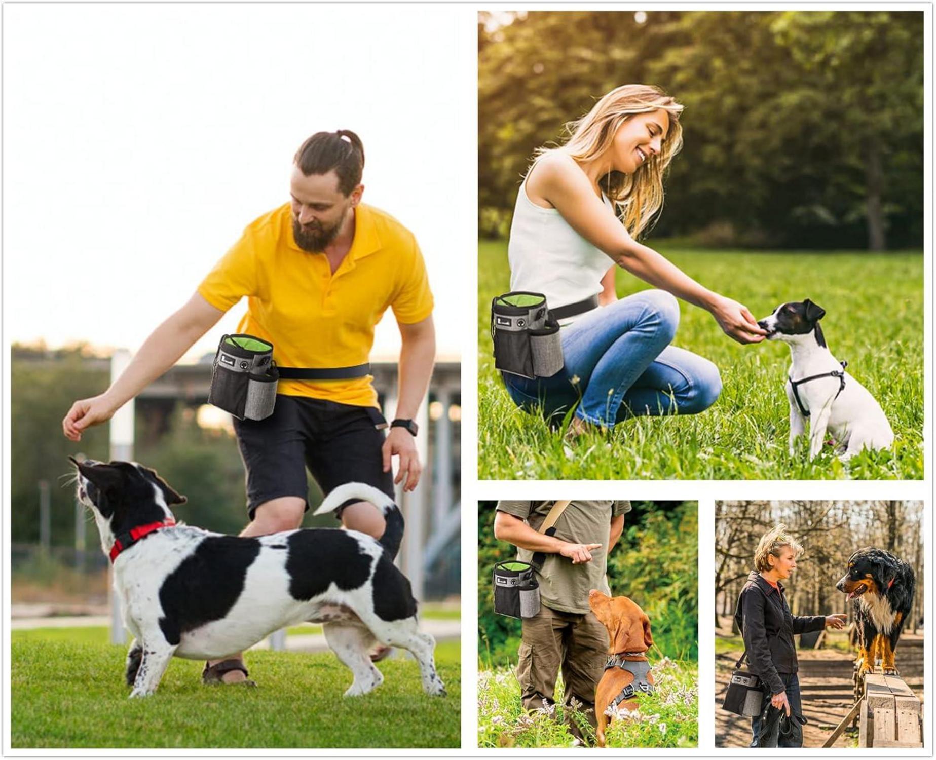 Pecute Leckerlibeutel für Hunde Wasserdicht Grau 4in1