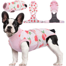 Hundebody Nach Op Kastration Rüde Hündin Atmungsaktiv