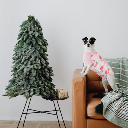 Hundebody Nach Op Kastration Rüde Hündin Atmungsaktiv