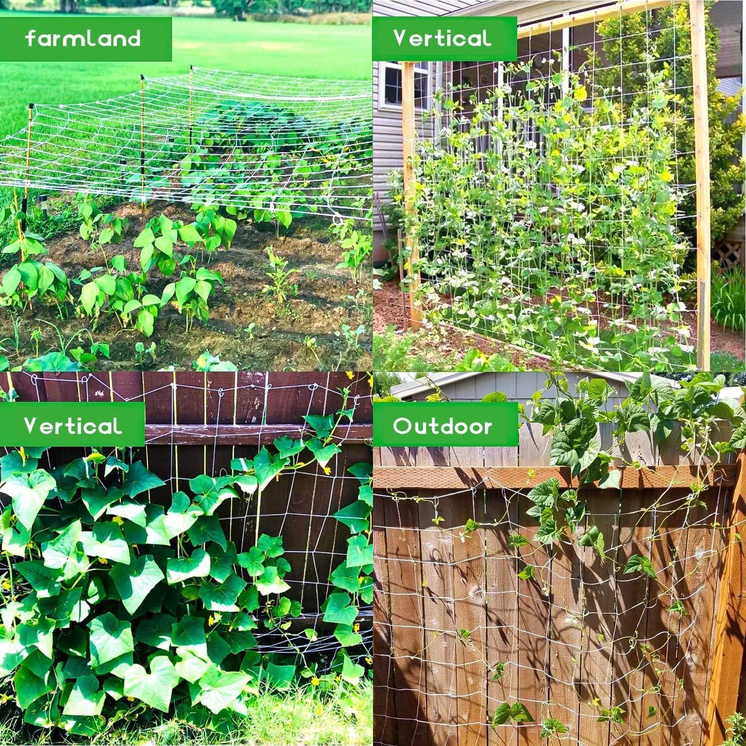 Gartennetz Pflanzen Kletternetz 15x15cm Masche 1,8x10m