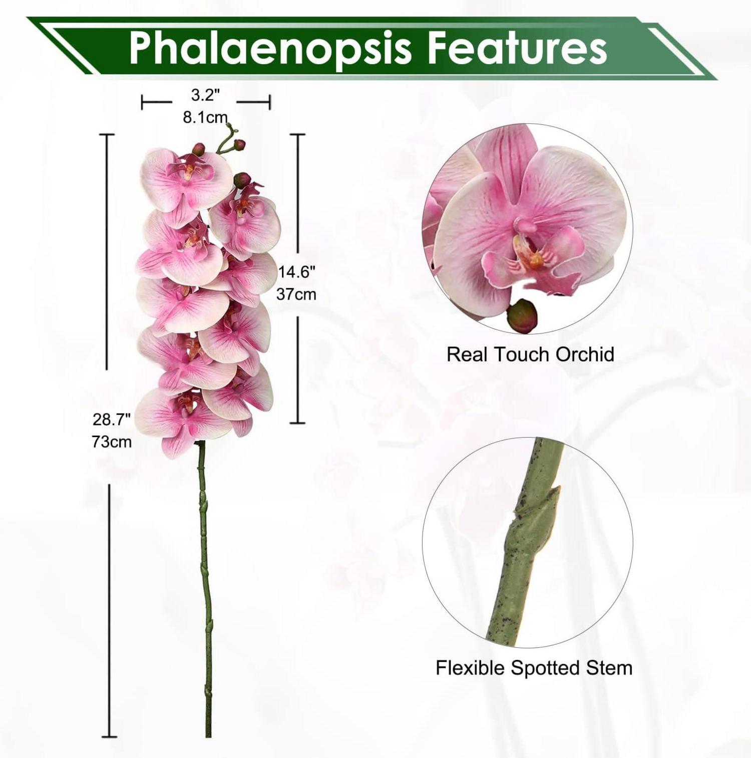 Künstblume Orchidee Phalenopsis Zweig Set