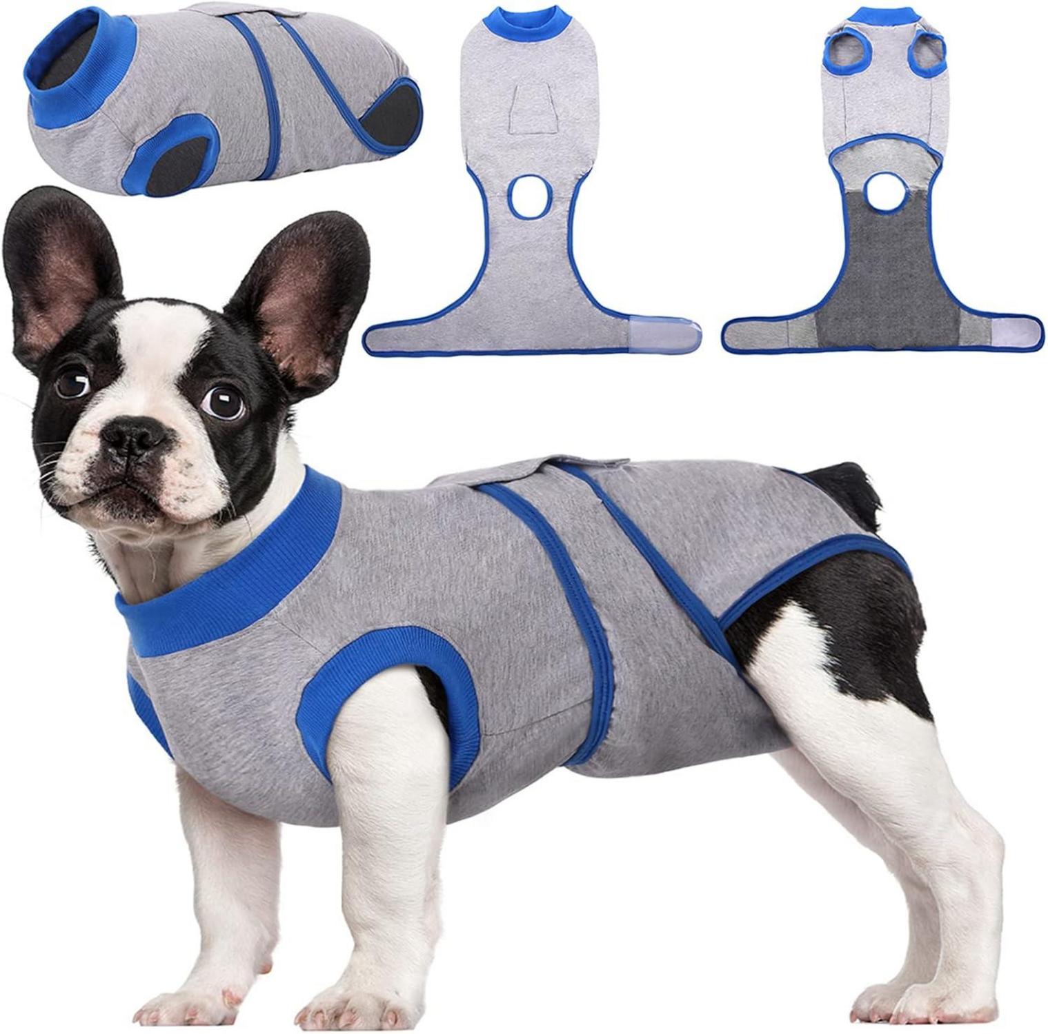 Hundebody OP Kastration Leckschutz Anti-Wundlecken Grau XS XS