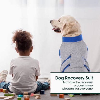 Kuoser Hundebody Op, Nach Kastration, Leckschutz Hund, Grau