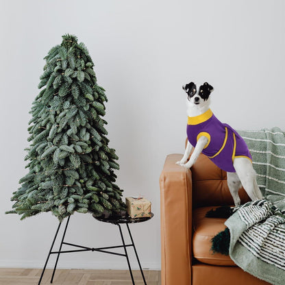 Kuoser Hundebody Op Kastration Rüde Hündin Leckschutz Hund