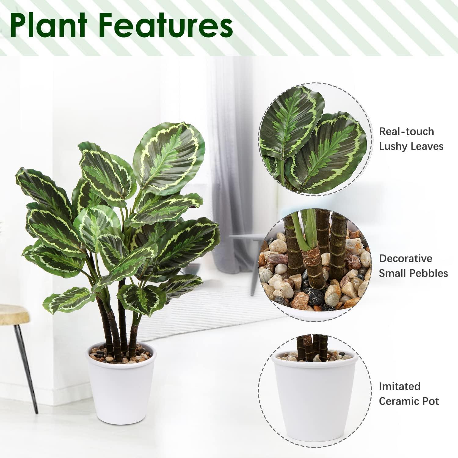 Künstliche Calathea Medaillon Kunstpflanze 63cm Deko