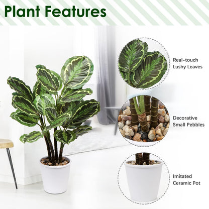 Künstliche Calathea Medaillon Kunstpflanze 63cm Deko