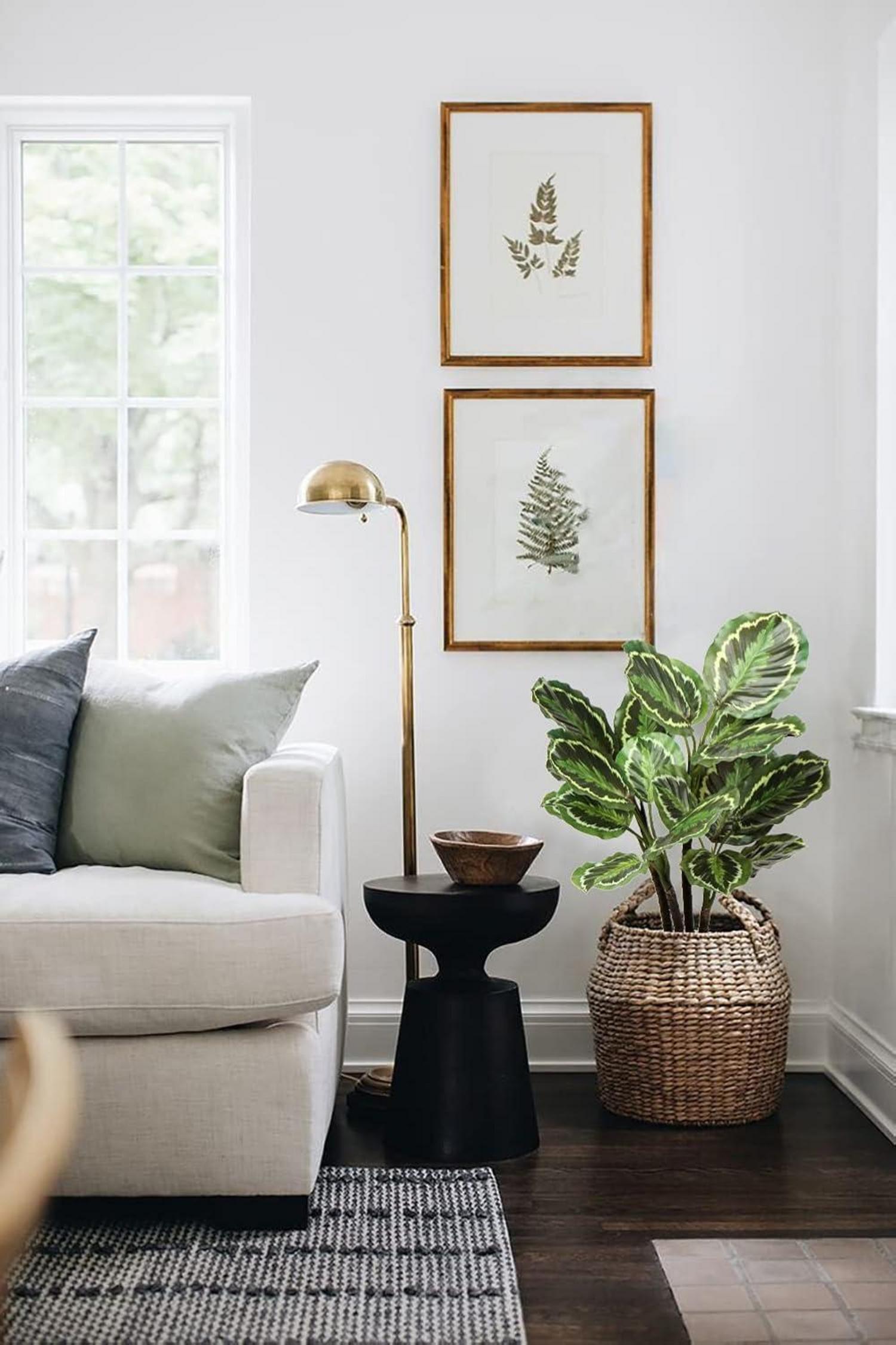 Künstliche Calathea Medaillon Kunstpflanze 63CM - Dekoration für Zuhause, Büro, Garten - Tropische Zimmerpflanze im Topf