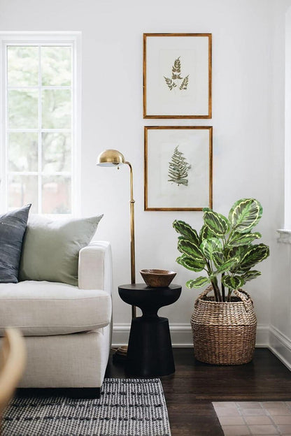 Künstliche Calathea Medaillon Kunstpflanze 63CM - Dekoration für Zuhause, Büro, Garten - Tropische Zimmerpflanze im Topf