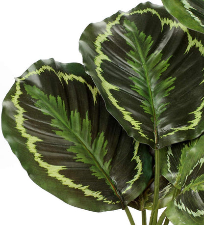 Künstliche Calathea Medaillon Kunstpflanze 63cm Tropisch Deko Home Office