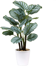Künstliche 63cm Calatheas Orbifolia Pflanze Topf Büro Dekoration