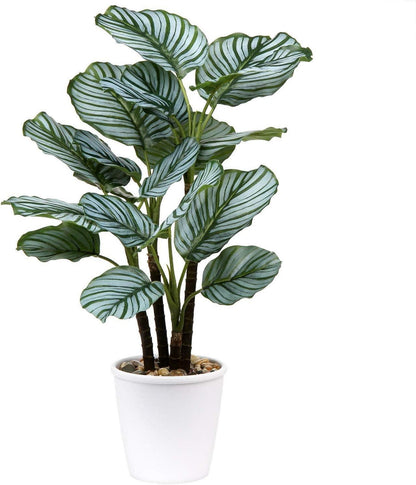 Künstliche 63cm Calatheas Orbifolia Pflanze Topf Büro Dekoration