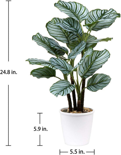 Künstliche 63cm Calatheas Orbifolia Pflanze Topf Büro Dekoration