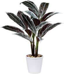 Künstliche Cordyline Fruticosa Kunstpflanze 63CM Weißer Topf