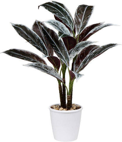 Künstliche Cordyline Fruticosa Kunstpflanze 63CM Weißer Topf