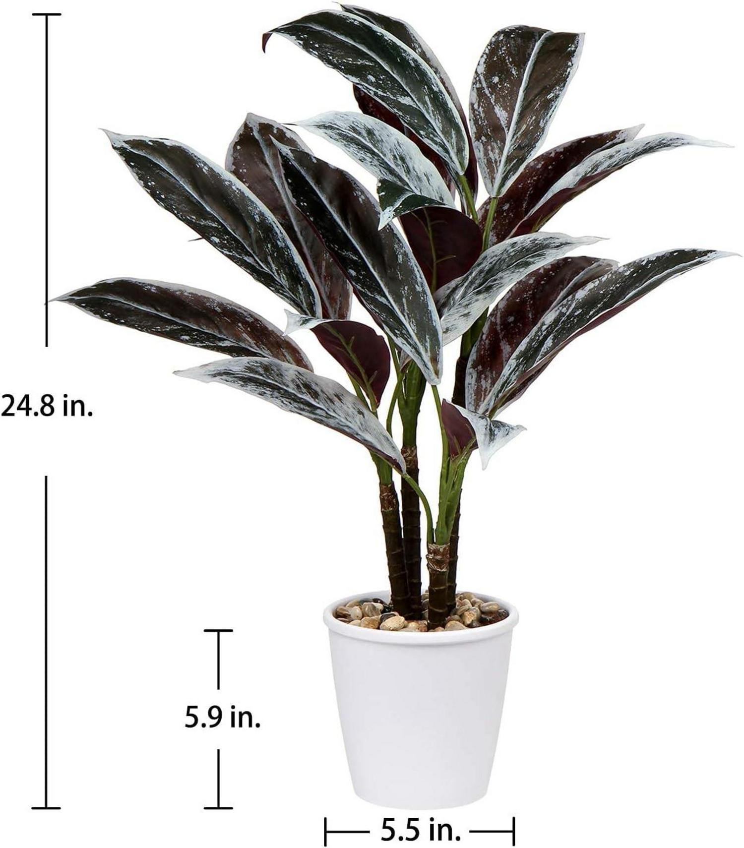 Künstliche Cordyline Fruticosa Kunstpflanze 63CM Weißer Topf